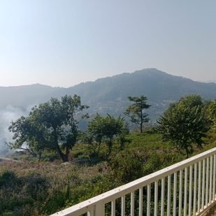 WhatsApp Image 2025-12-06 at 4.39.12 PM (1)